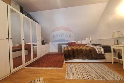 Doua case de vanzare in aceeasi curte, in zona Sub Arini - 8