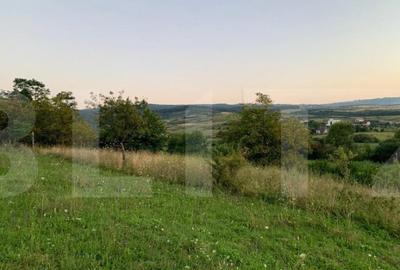 Teren intravilan,18000 mp, situat in Sopor, Exclusivitate! Teren intravilan,18000 mp, situat in Sopor, Exclusivitate! - 4