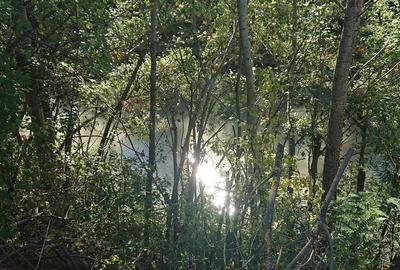 Spațiu comercial, în Lupăria - 7