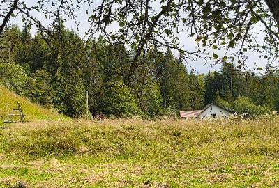 Teren de 4080 mp, în Valea Doftanei