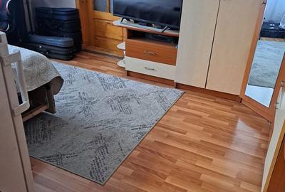 Apartament cu 2 camere în Calea Aradului - 6