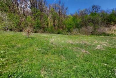 Casă cu 6 camere cu Teren 4345 Mp în Valea Ursului - 11