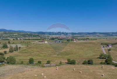 Teren Construcții intravilan de 6900 mp, în Bran - 7