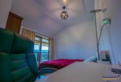 Refined ensemble, elite natural setting, 5 km from Corvin Castle. - 17