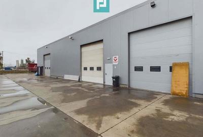 Hala cu birouri ?i platforma betonata de 2.500 mp - 4