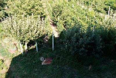 Casă cu 6 camere în Voinești - 1