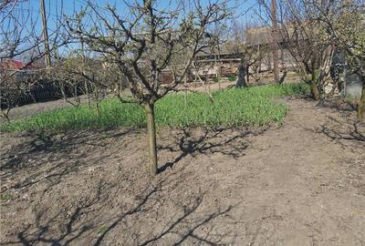 Casă cu 5 camere cu Teren 1300 Mp în Vieru - 3