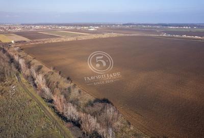 Oportunitate de investitie, teren intravilan in Tamasi-Corbeanca, 22 Euro/mp - 8