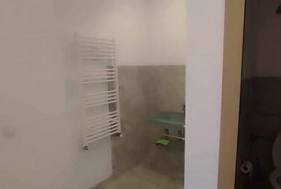 Inchiriere spatiu comercial, 120 mp, zona Calea Severinului - 11