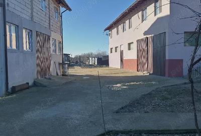 Casă în Bolovani - 10