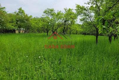 Teren intravilan in Scorteni--3999mp--55.000e - 2