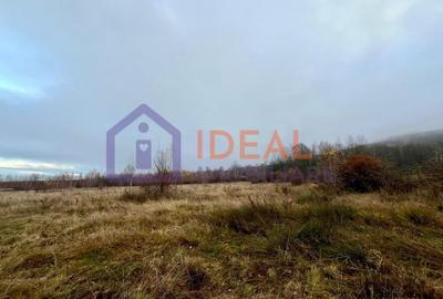 Teren extravilan 6.500 mp – două căi de acces, Cârțișoara - 3