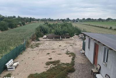 Casă cu 6 camere cu Teren 2500 Mp în Milcovul - 5