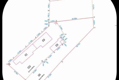 Casă cu 8 camere cu Teren 2529 Mp în Bolintin-Deal - 4