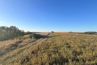 Spațiu comercial, în Cutina - 2