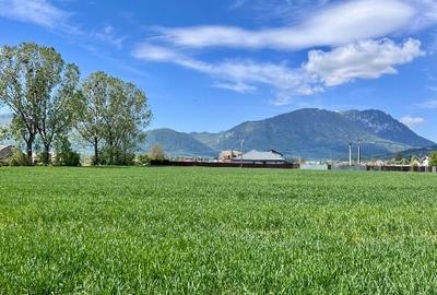 Teren Construcții intravilan de 1150 mp, în Nord - 4