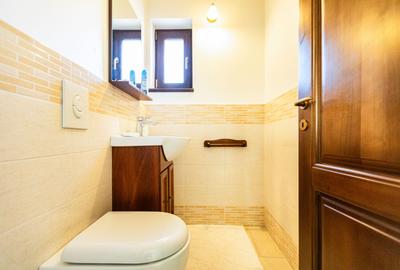 Refugiul Perfect de Lângă Timișoara - 58