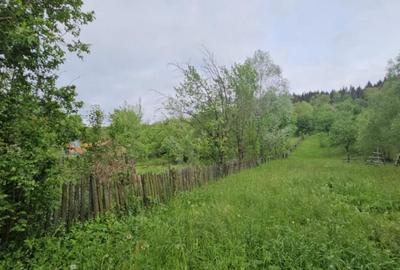 TEREN VANZARE VALEA DOFTANEI - 3