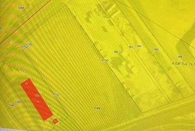 Teren agricol extravilan de 17000 mp, în Priseaca - 7