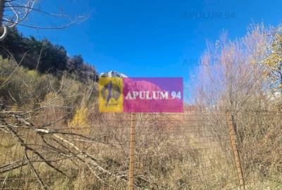 Teren intravilan de vânzare în Bușteni - Zona centrala - 4