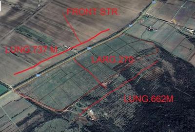 Teren agricol extravilan de 185746 mp, în Șiria - 2