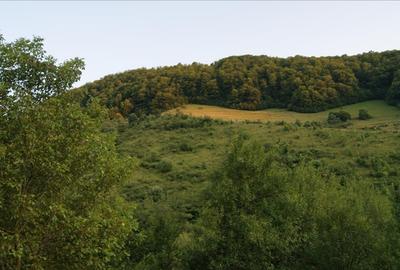 10 hectare teren plus casa la munte in Buces, Hunedoara - 11