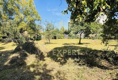 TEREN INTRAVILAN 3234 MP LERE?TI VOINE?TI ARGE? - 11