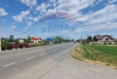 Teren Construcții intravilan de 28662 mp, în Onișcani - 1