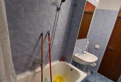 Garsoniera Brancoveanu Budimex - 3