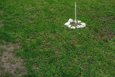 Casă cu 2 camere în Cunești - 5