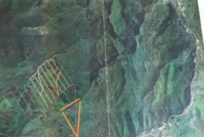 Teren de 80000 mp, în Moneasa - 2