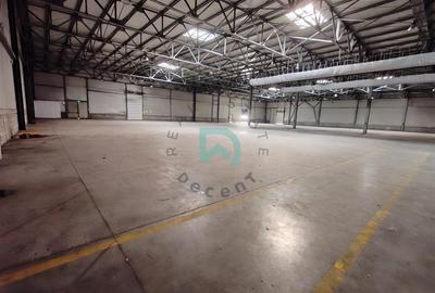 Hala Industriala, 5500 mp, Feldioara, Brasov - 2