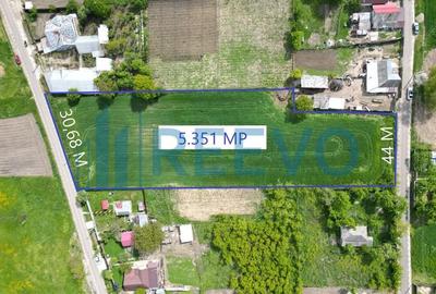 Teren de 5351 mp, în Roșiori - 13