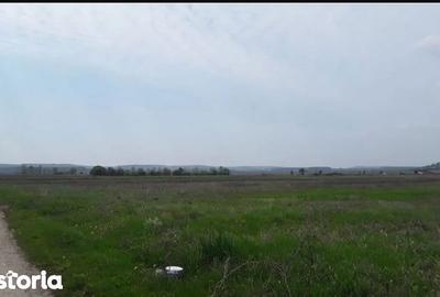 Teren de 12500 mp, în Coțofenii din Față - 2