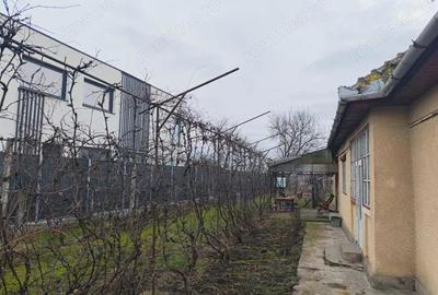 Casă cu 3 camere cu Teren 2000 Mp în Criș - 11