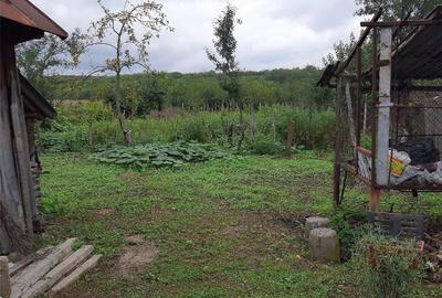 Casă cu 2 camere cu Teren 2325 Mp în Scornicești - 4