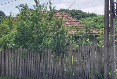 Casă cu Teren 2600 Mp în Central - 2