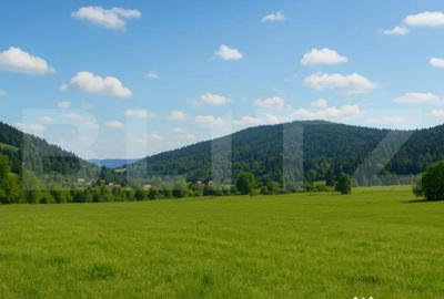 Teren de 5872 mp, în Central