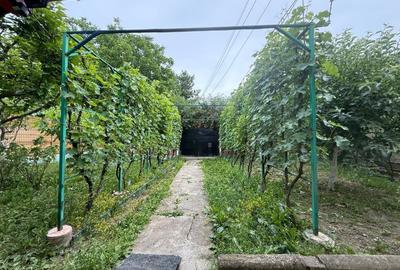 Casă individuală cu 4 camere cu Canalizare în Plopi - 10