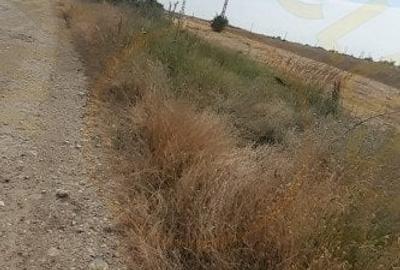 0% COMISION !!!  TEREN INTRAVILAN - BRADU - 1