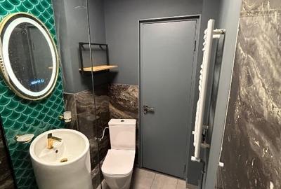 Apartament cu 2 camere decomandat, mobilat în Drumul Taberei - 12