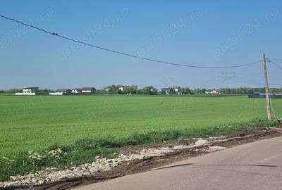 Teren de 5000 mp, în Pantelimon - 3