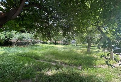 Teren intravilan, 232 mp, cartier Rovine - 3