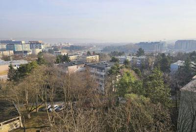 Garsonieră decomandată în Dosu Bricii - 4