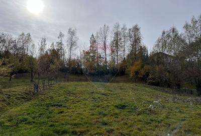 Teren de Vis in Bran - 1000mp Plat, Liniste Absoluta si Aer Curat - 17