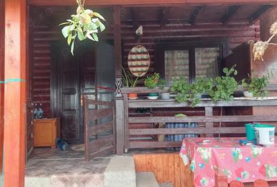 Casa de vacanta la 8 minute de sta?iunea Govora - 16