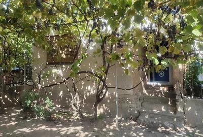 Casa batraneasca 5 camere, Loc. Rosiori , jud. Mehedinti Casa batraneasca 5 camere, Loc. Rosiori , jud. Mehedinti - 4