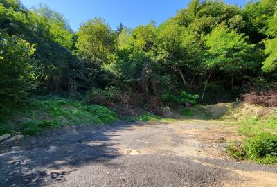 Teren intravilan - 1.780 mp - Saliste - vedere minunata - 2