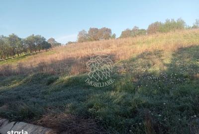 Teren de 10000 mp, în Aluniș - 6