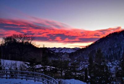 FILM! 20.000 mp in povestea naturii din renumitul areal:Bran - 2